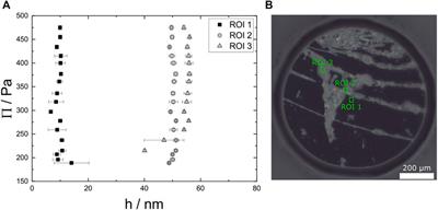 Untangling effects of proteins as stabilizers for foam films